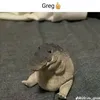 kapleton4