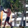 muaythay09099