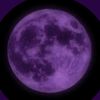 timelessmusic5