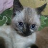 matilde6305