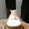 fachafashero3000_20