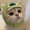 catlover888aaa