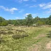 adnanlia07