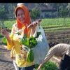 indah.nurul06