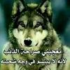 user3563821618144