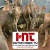 tht.nai.cn.th