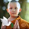 Loka Dhamma & Music