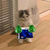 sper.punchcat2.0