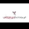 user8377553316190