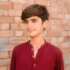 shahzadking833