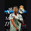 am11_rg11_