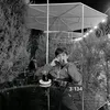 hbek_24