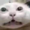 hgfhijghfjgh
