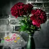 muntaseralfarsi