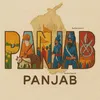 🦅PANJAB📺TV2024🐅