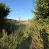 jorney_in