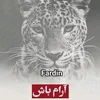 shahmajnun