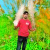 auladaulad28
