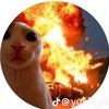 daniellanmc