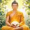 nammoadidaphat25501