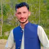 juniadkhan4110