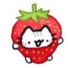 kiara_899862