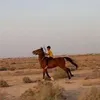 user8104500601579