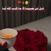 aseelibrahimyousf