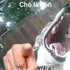deyuiok