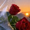 ammu6051980446177