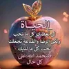 user8505730241333