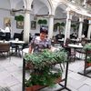 user33155200579952