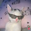 user140608196002