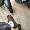 stvnssss21_