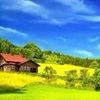 hol.scenery