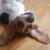 mia_veereapen