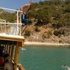 zeytin.gzlm64