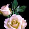 user2472719819681