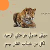aak8071980