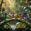 mikat_gacor