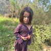 Sardar Hashi karlal