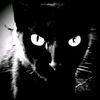 theblackcatz0