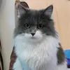 frnxvf