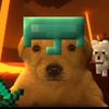 staringdogo