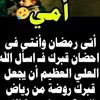 user5401268157506