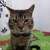 yireh_1003