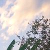 user2024310414061