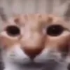 grayuin