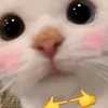 uudanggiamcann