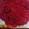 wina_1919